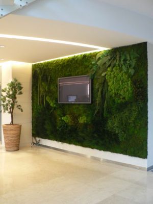 Tableaux murs végétaux naturels artificiels stabilisés sans entretien