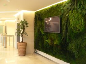 Mur vegetal plantes naturelles artificielles stabilisées sans entretien